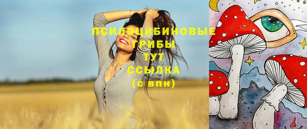 крисы Протвино