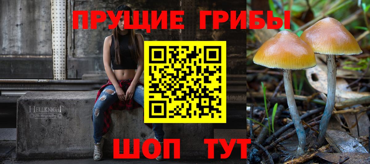 Псилоцибиновые грибы GOLDEN TEACHER  Псилоцибиновые грибы прущие грибы  Торжок  Вход с VPN 